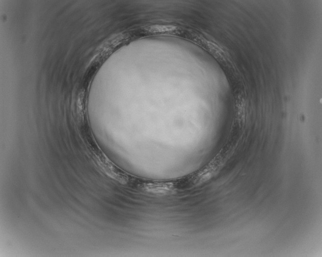 X0000083620373200703051615