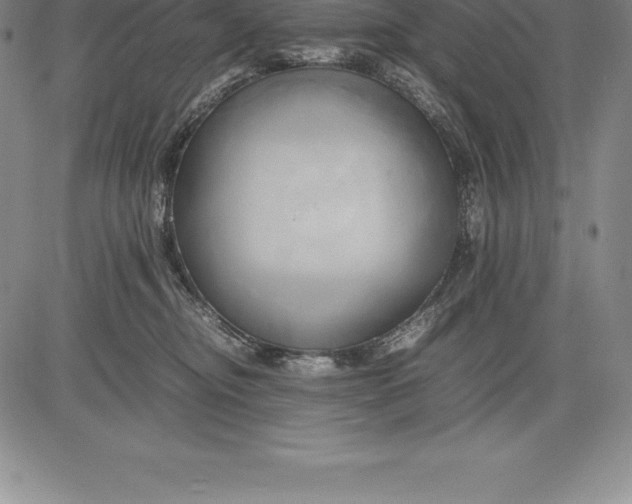 X0000083620374200703051615