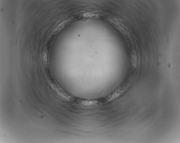 X0000083620375200703051615