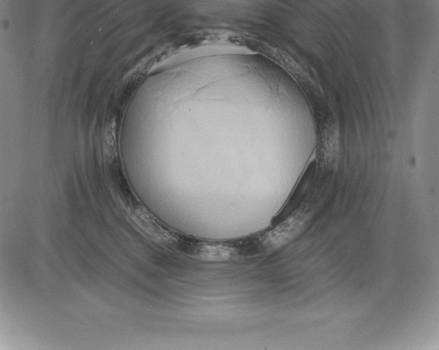 X0000083620376200703051615