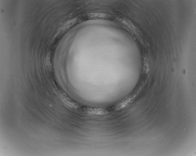 X0000083620377200703051615