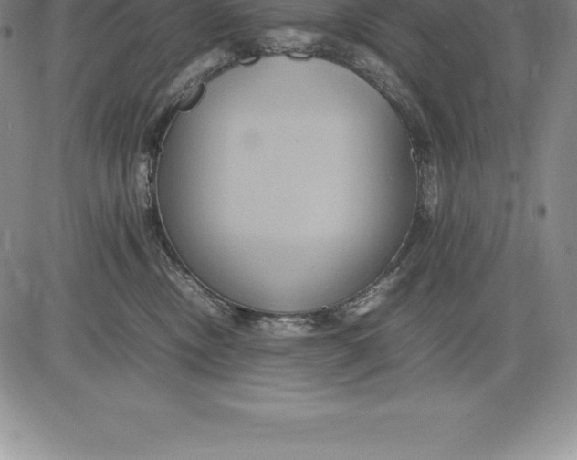 X0000083620378200703051615