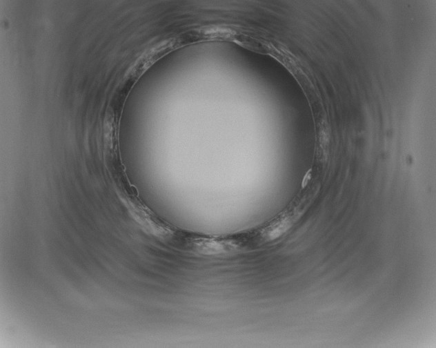 X0000083620379200703051615