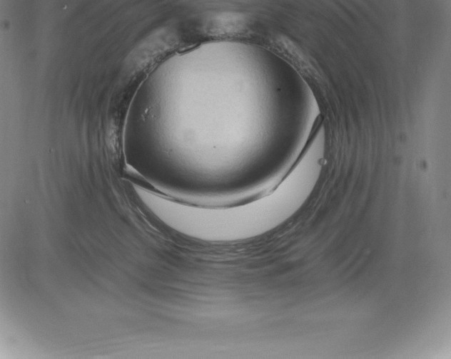 X0000083620380200703051615