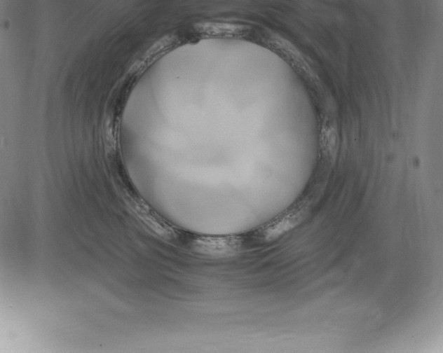 X0000083620381200703051615