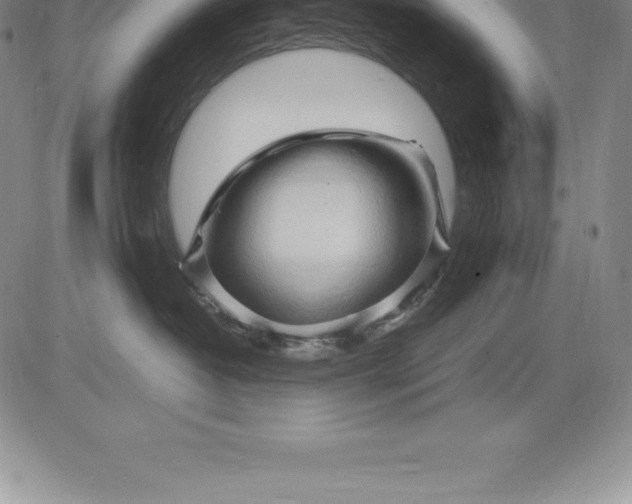 X0000083620382200703051615