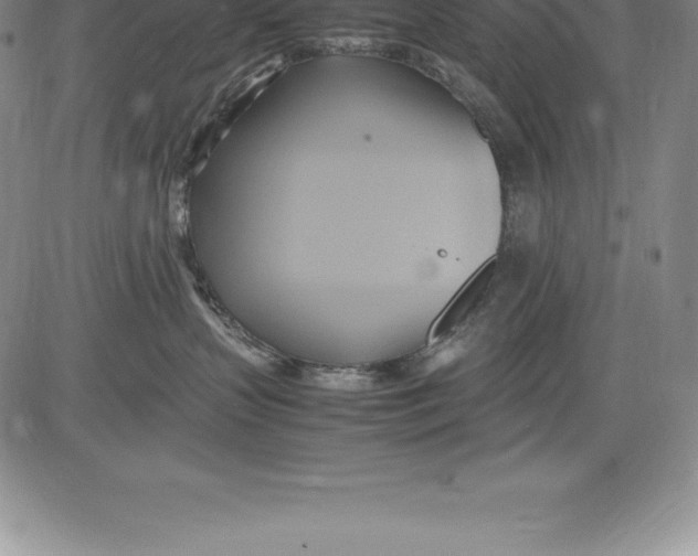 X0000083620383200703051615