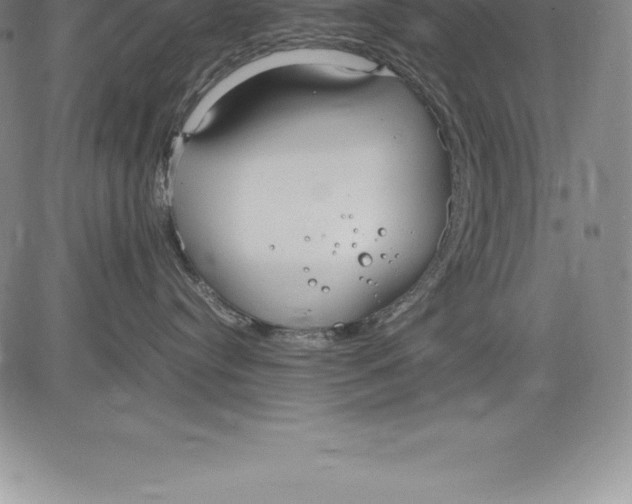 X0000083620384200703051615