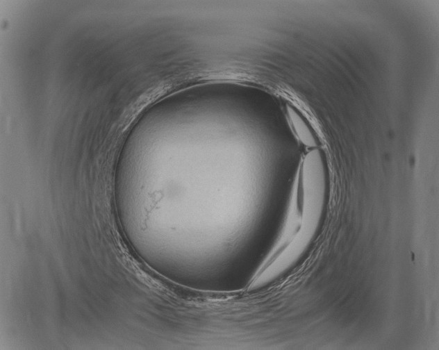 X0000083620385200703051615