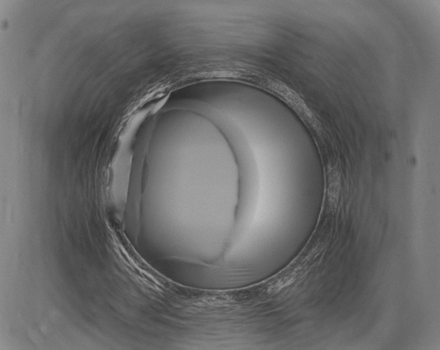 X0000083620386200703051615