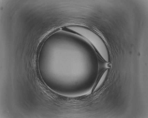 X0000083620387200703051615