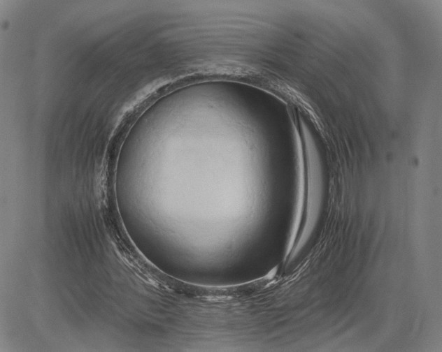 X0000083620388200703051615