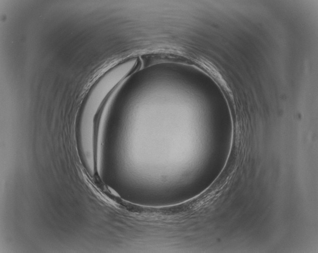 X0000083620389200703051615