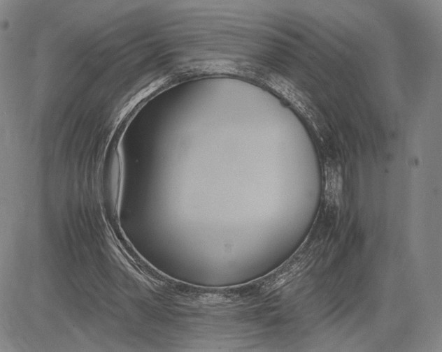 X0000083620390200703051615