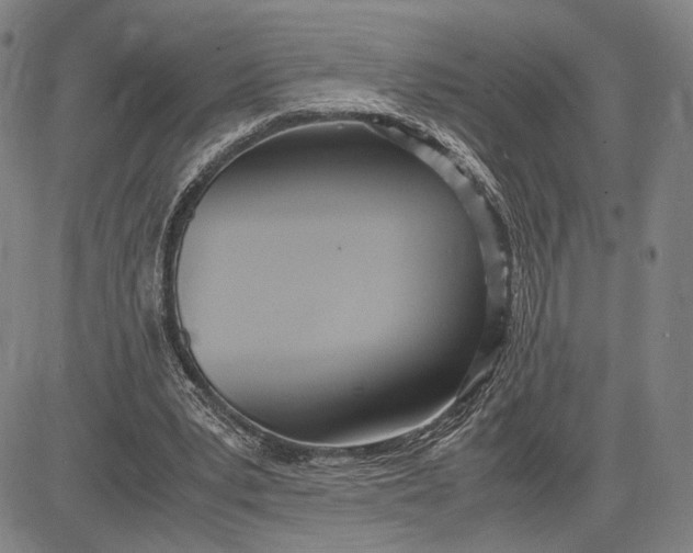 X0000083620391200703051615