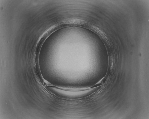 X0000083620392200703051615