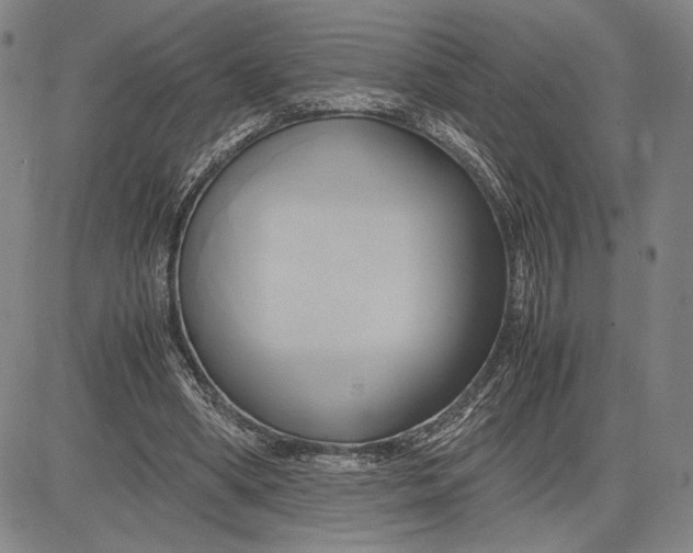 X0000083620394200703051615