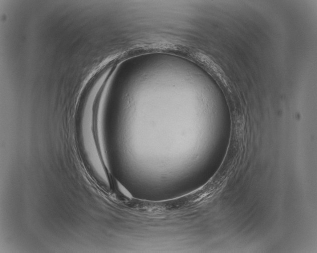 X0000083620395200703051614