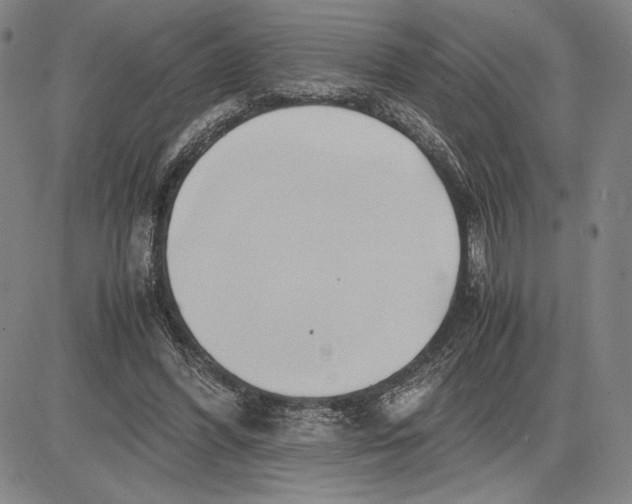 X0000083620396200703051614