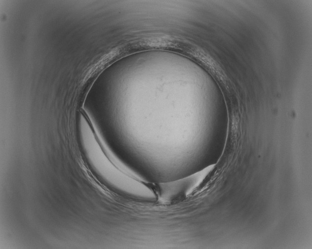 X0000083620397200703051614