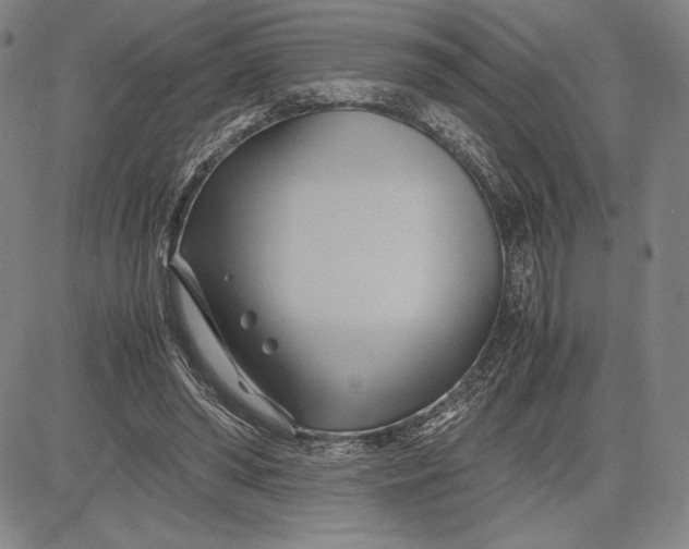 X0000083620398200703051614