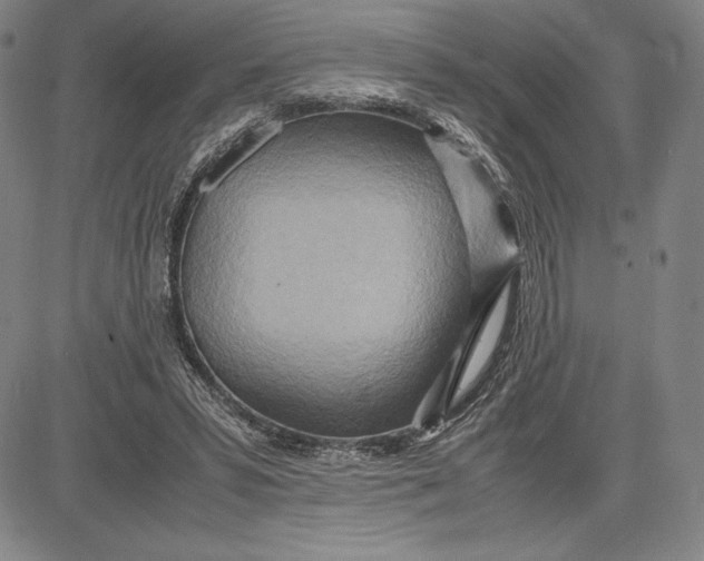 X0000083620399200703051614