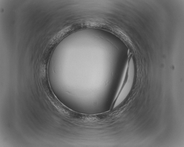 X0000083620401200703051614