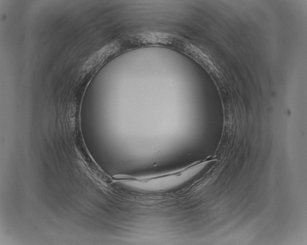 X0000083620402200703051614