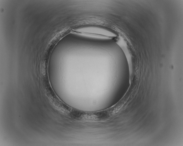 X0000083620403200703051614