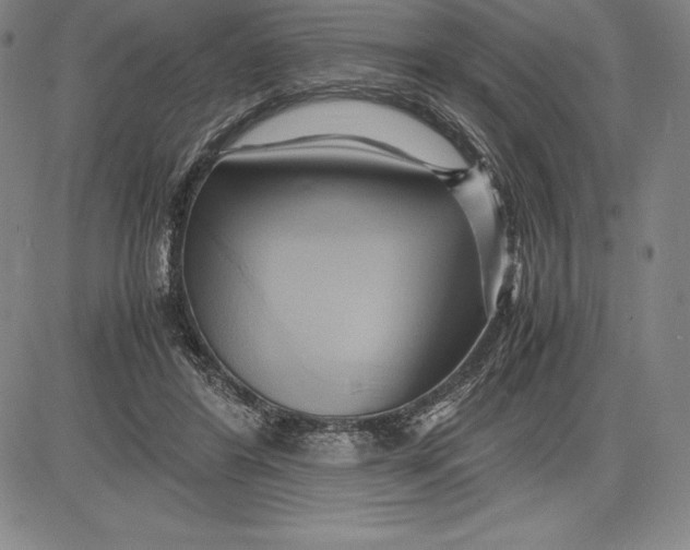 X0000083620404200703051614