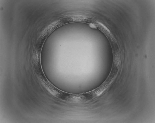 X0000083620405200703051614