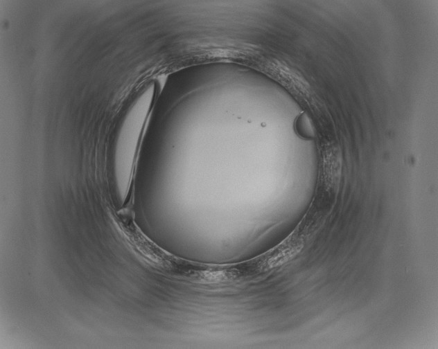 X0000083620406200703051614