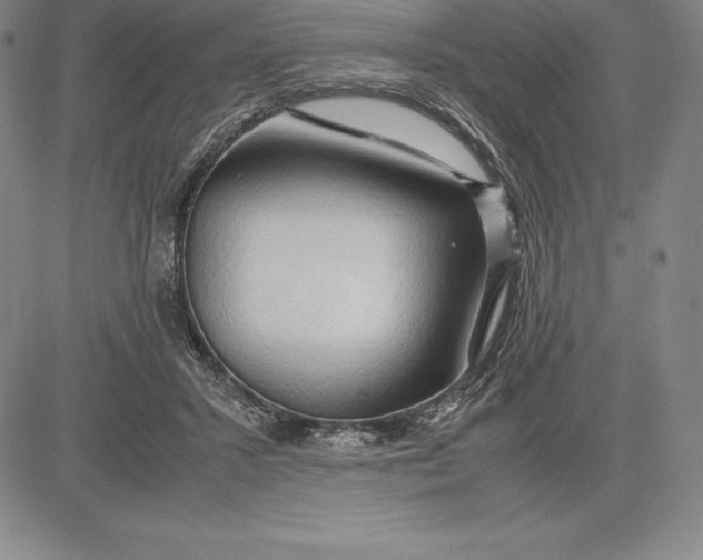 X0000083620407200703051614