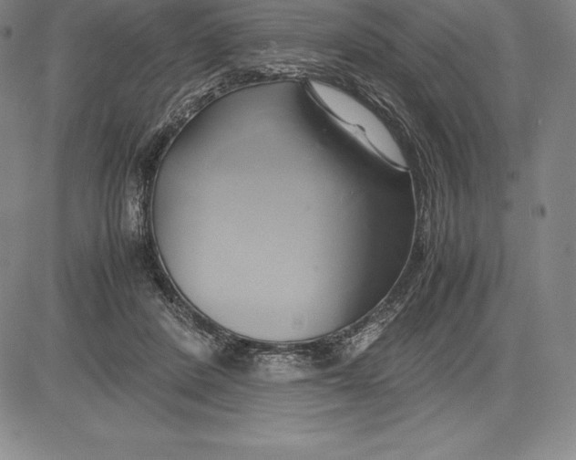 X0000083620408200703051614