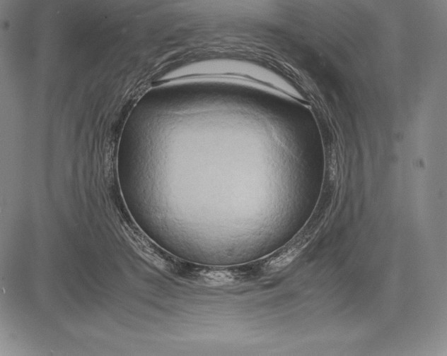 X0000083620409200703051614