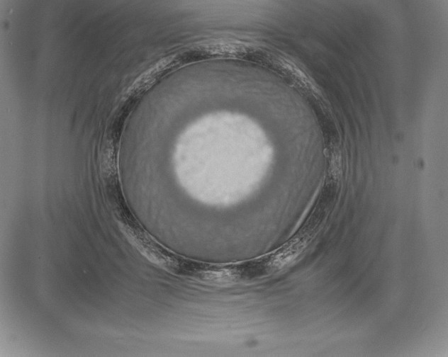 X0000083620411200703051614