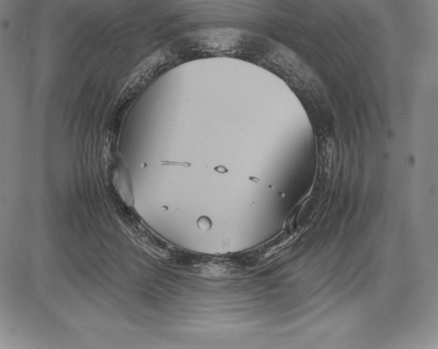 X0000083620412200703051614