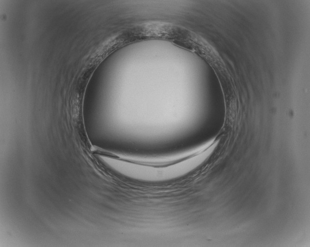 X0000083620413200703051614