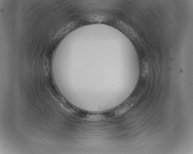 X0000083620414200703051614