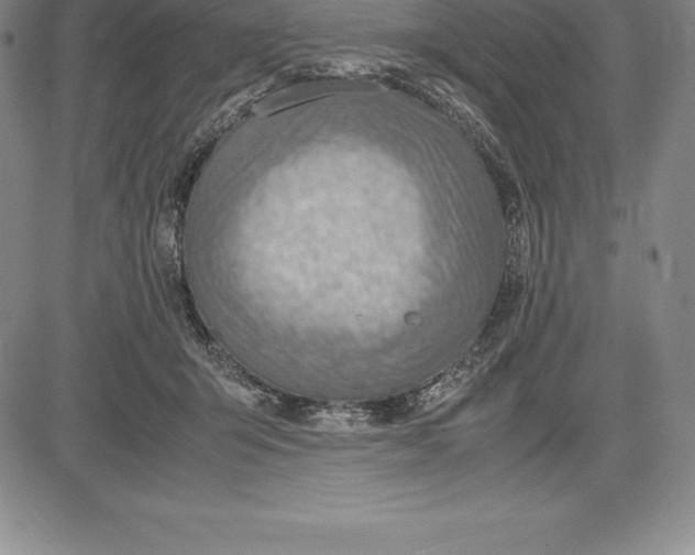 X0000083620415200703051614