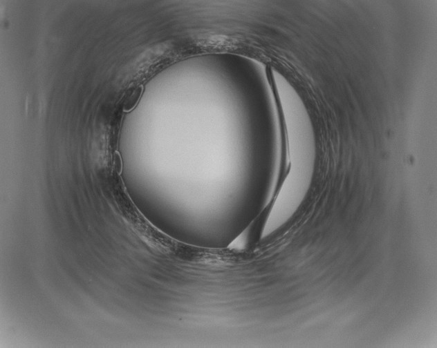 X0000083620416200703051614