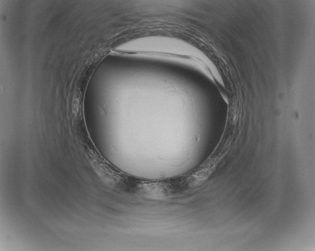 X0000083620417200703051614