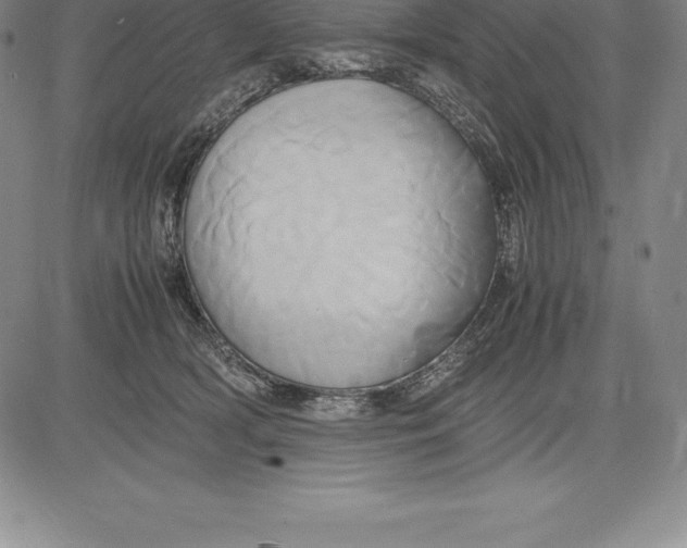 X0000083620418200703051614