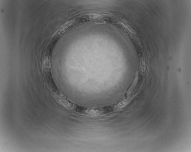 X0000083620419200703051614