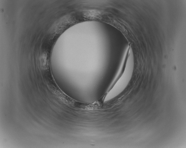 X0000083620420200703051614