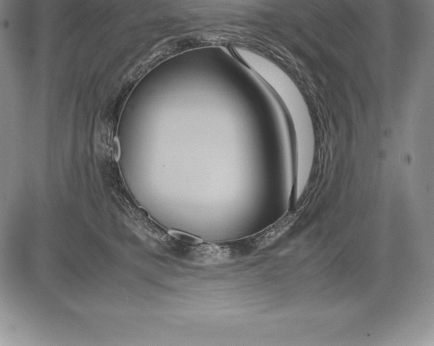 X0000083620421200703051614