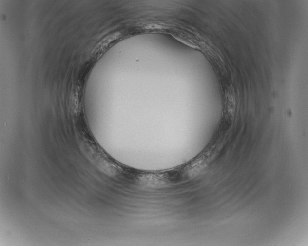 X0000083620422200703051614