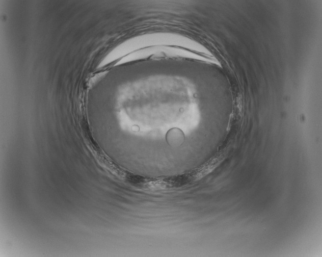 X0000083620423200703051614