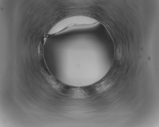 X0000083620424200703051614