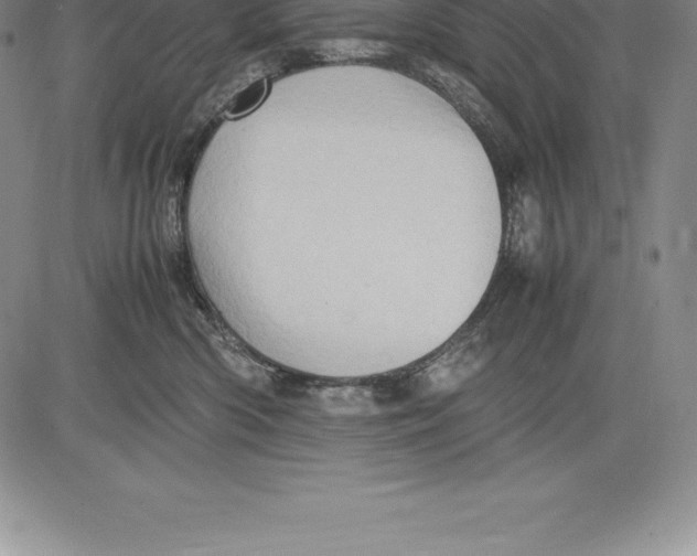 X0000083620426200703051614